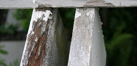 water damage on unprotected wood