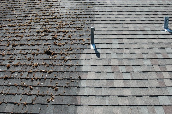 HOW TO: Clean Roof Shingles the Natural Way - POCO 