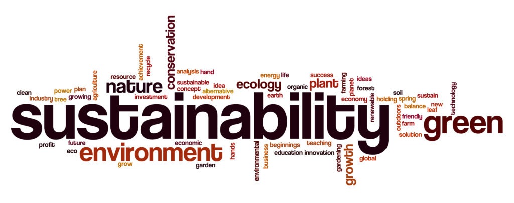 sustainability infographic