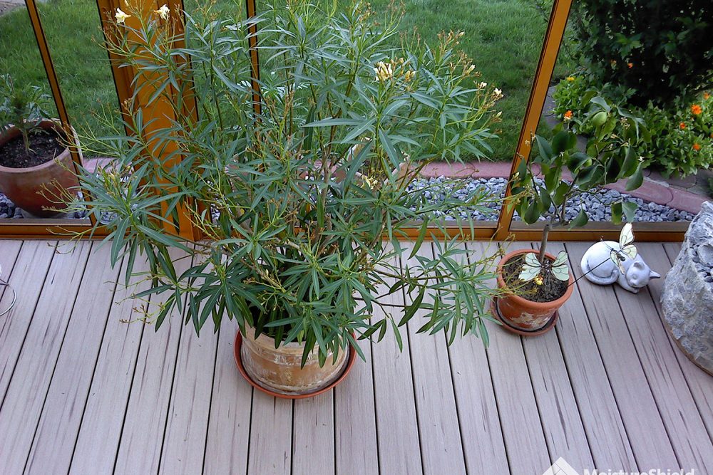 moistureshield_decking_balcony_with_plants