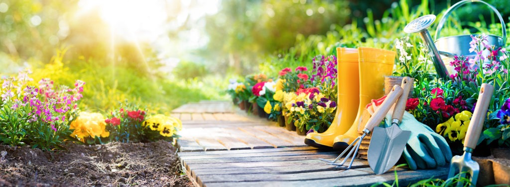 Gardening - Set Of Tools For Gardener And Flowerpots In Sunny Ga