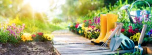 Gardening - Set Of Tools For Gardener And Flowerpots In Sunny Ga