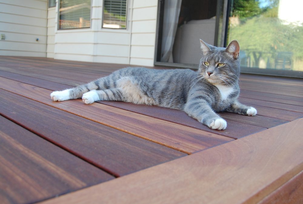 inside-out-1x6-batu-decking-north-vancouver-12