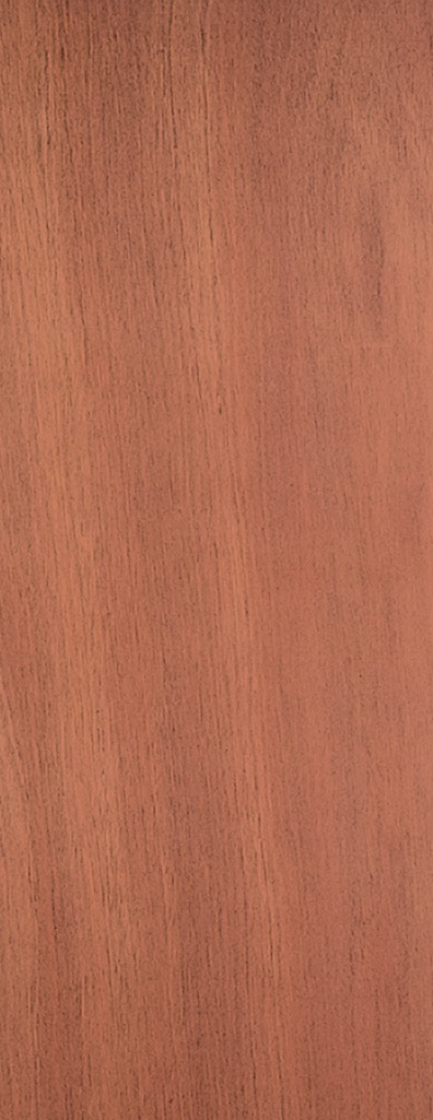 interior_door_flush_hardwood