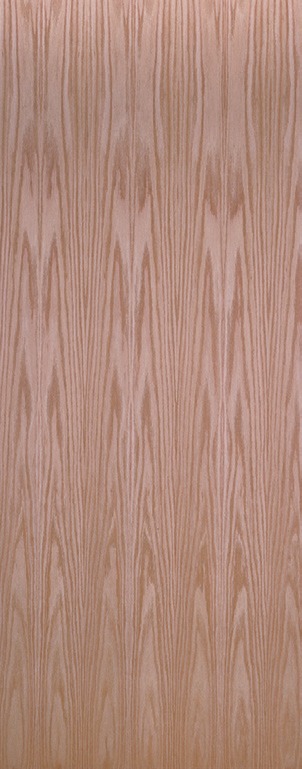 interior_door_flush_oak