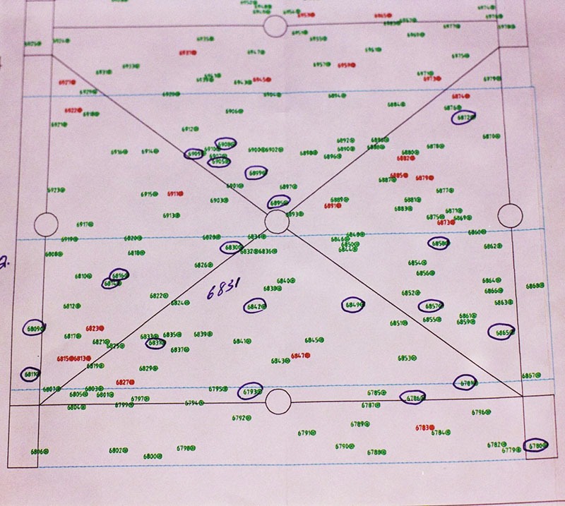 forestry management plan