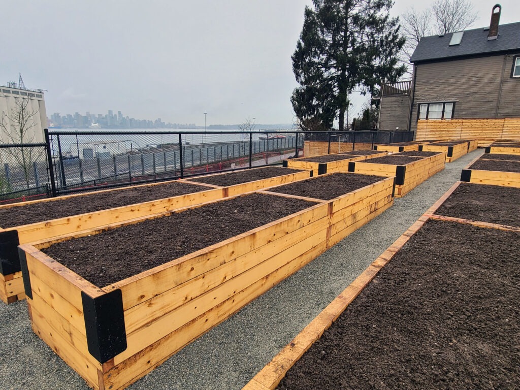 Yellow Cedar Planter Boxes